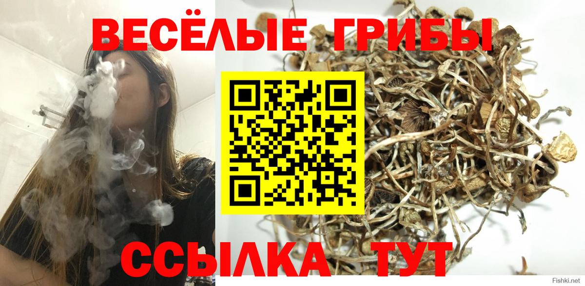 Анжеро-Судженск  Псилоцибиновые грибы GOLDEN TEACHER  Галлюциногенные грибы мухоморы  Вход с VPN 
